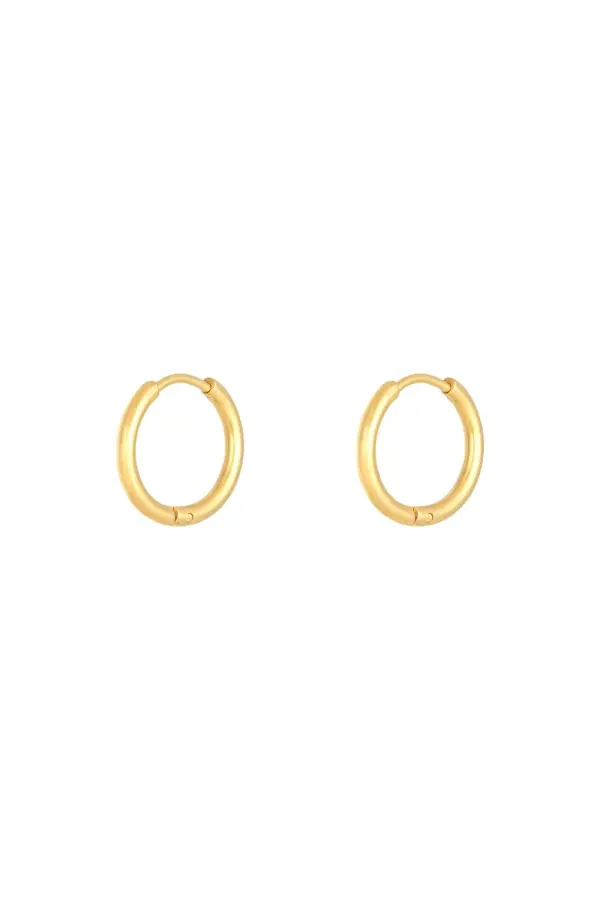 Oorbellen Little Hoops 1,6cm Goud kleur Stainless Steel