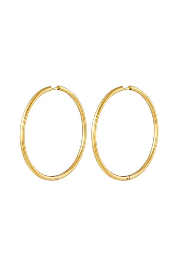 RVS oorbellen hoops groot Goud kleur Stainless Steel